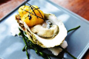 The Most Things About Oysters