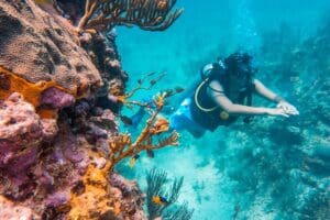 Scuba Diving in Cozumel Island