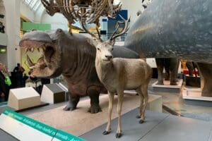 Kid-Friendly Natural History Museum & Dinosaurs Private Guided Tour in London