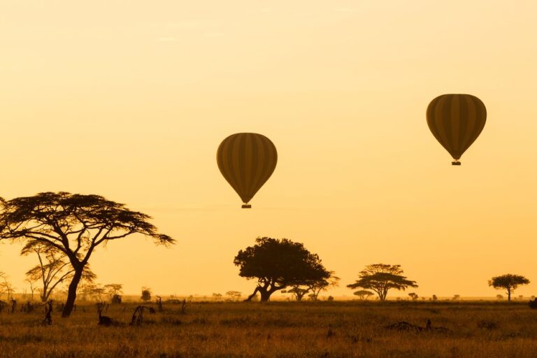 hbz-the-list-lavish-experiences-8-hot-air-balloon-over-the-serengeti-1507742587